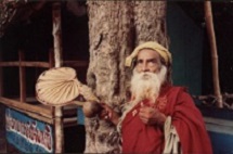 Yogi Image
